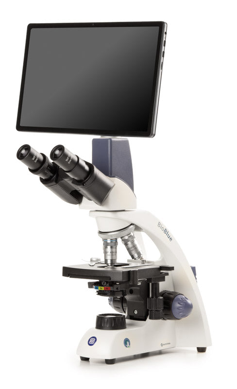 BioBlue binocular microscope BB.4267-T - www.letscopes.com