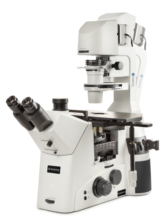 Delphi-X Inverso inverted trinocular microscope DI.1053-PLPHFi - www.letscopes.com