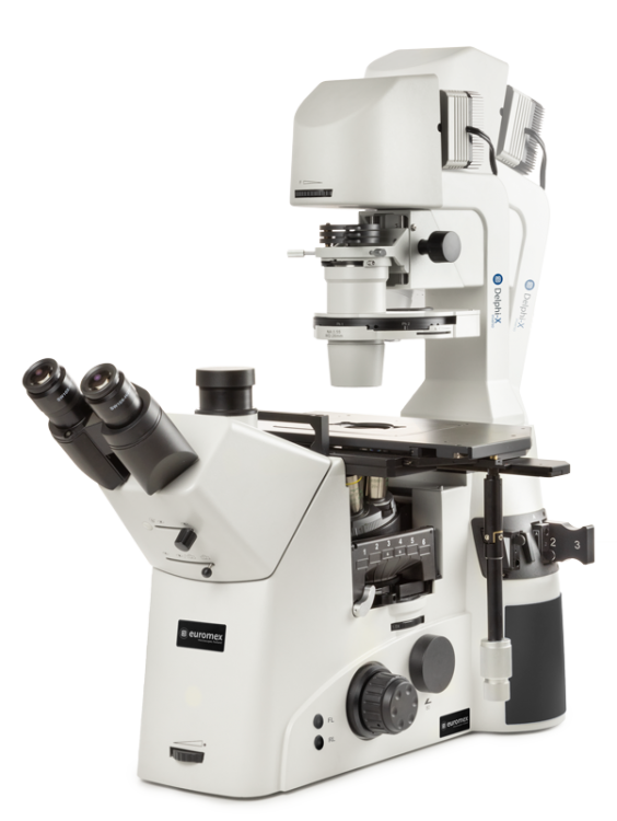 Delphi-X Inverso inverted trinocular microscope DI.1053-PLPHFi - www.letscopes.com