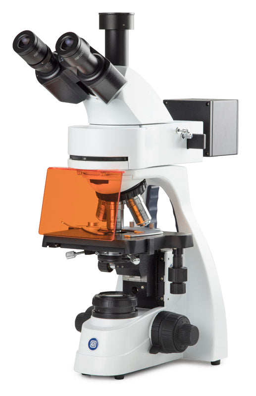 Trinocular microscope BS.3153-EPLi - www.letscopes.com