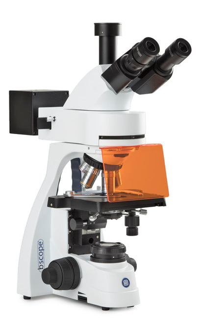 Trinocular Microscope BS.3153-PLi/HBO