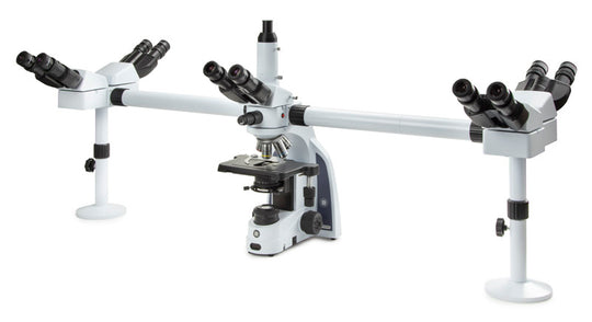 Binocular microscope for 5 users IS.1156-PLi5 - www.letscopes.com