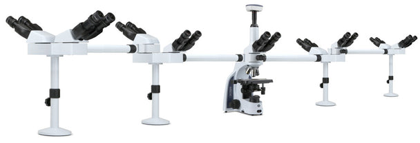 Binocular microscope for 9 users IS.1156-PLi9 - www.letscopes.com